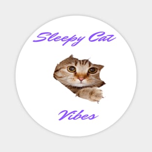 SLEEPY CAT VIBES Magnet